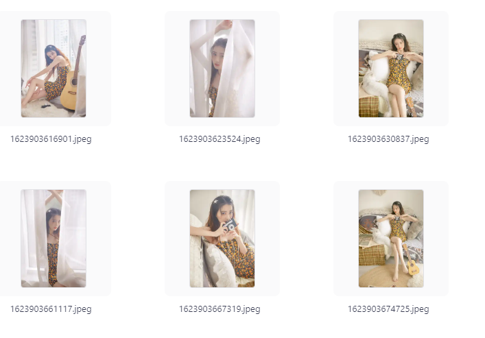 无畏笔记：套图